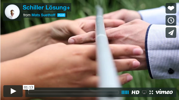 Schiller Lösung